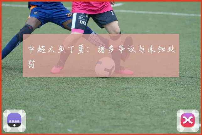 中超大鱼丁勇：诸多争议与未知处罚