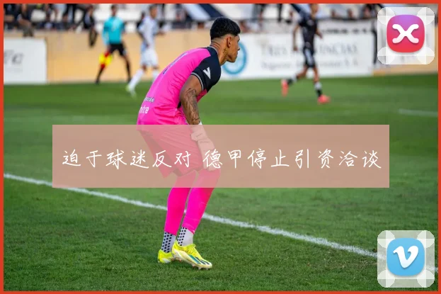 迫于球迷反对 德甲停止引资洽谈